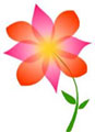 Flores de Bach