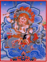Shambala blanca